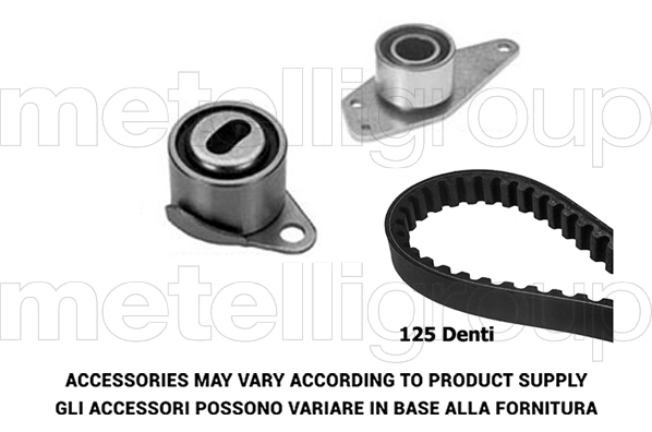 Timing Belt Kit (TW220)