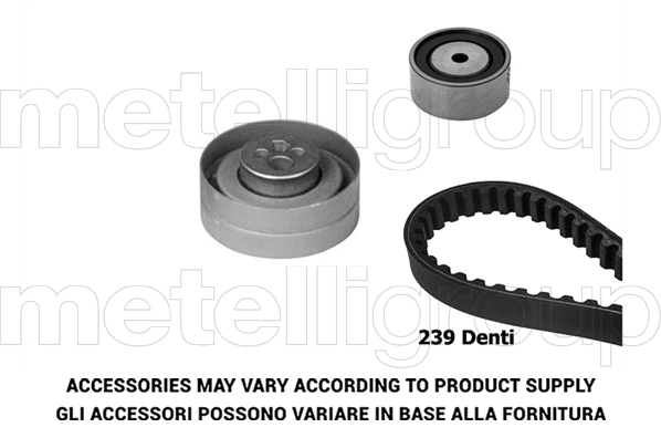 Timing Belt Kit (TW379)