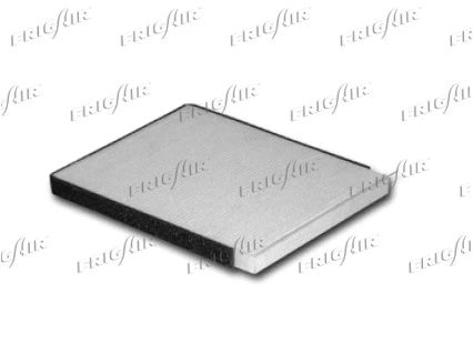 Filter, cabin air (1319.5316)