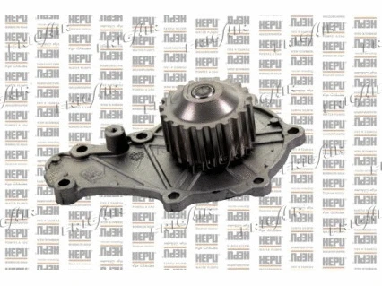 Water Pump, engine cooling (HP08.242)