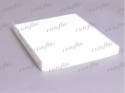 Filter, cabin air (1313.5366)