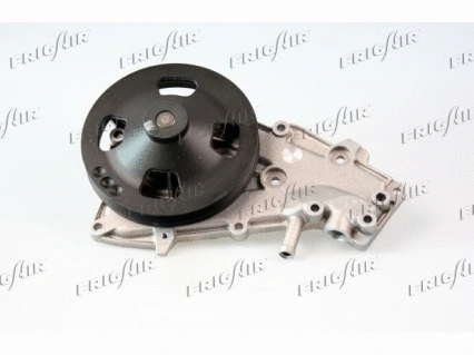 Water Pump, engine cooling (HP09.239)
