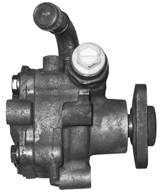 Hydraulic Pump, steering (PI0772)