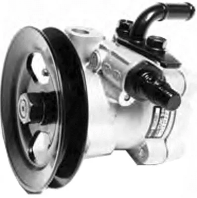 Hydraulic Pump, steering (PI1248)