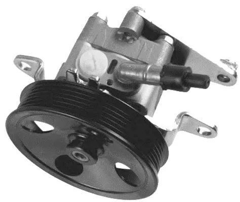 Hydraulic Pump, steering (PI1296)