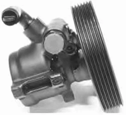 Hydraulic Pump, steering (PI1189)