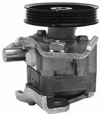 Hydraulic Pump, steering (PI0485)