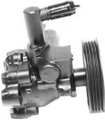 Hydraulic Pump, steering (PI1245)