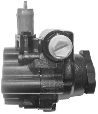 Hydraulic Pump, steering (PI1094)
