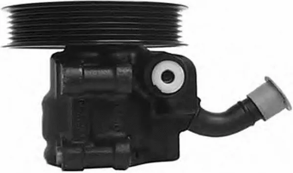 Hydraulic Pump, steering (PI0673)