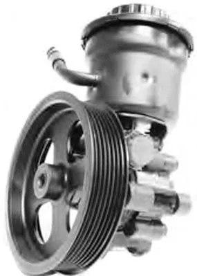 Hydraulic Pump, steering (PI1314)