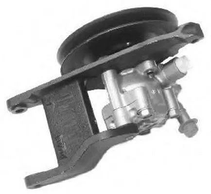 Hydraulic Pump, steering (PI0333)