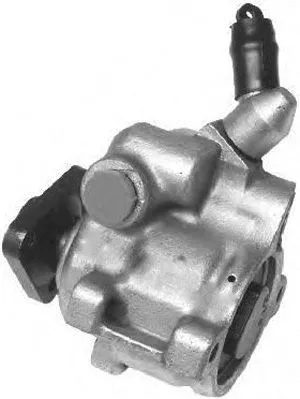Hydraulic Pump, steering (PI0124)