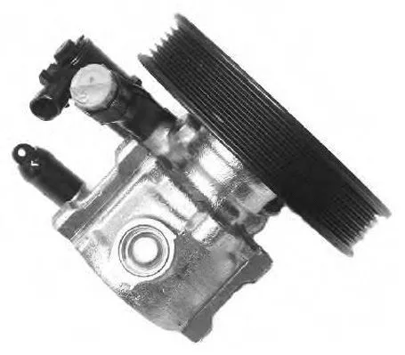 Hydraulic Pump, steering (PI0491)