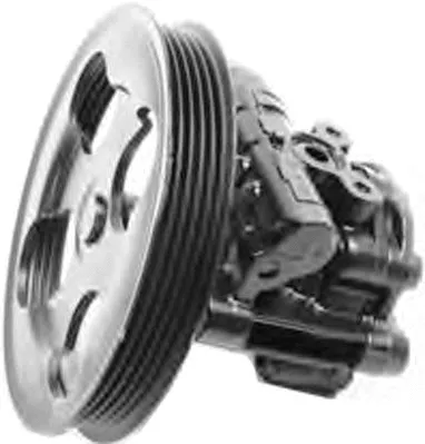 Hydraulic Pump, steering (PI1293)