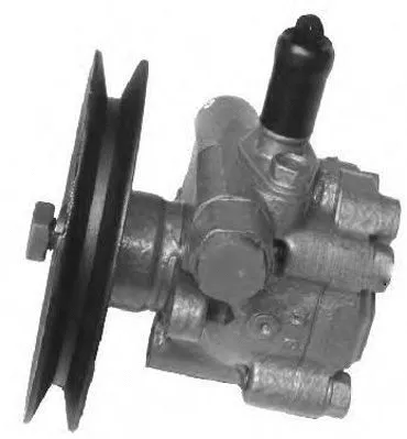 Hydraulic Pump, steering (PI0300)