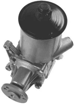 Hydraulic Pump, steering (PI0830)