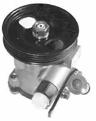 Hydraulic Pump, steering (PI0309)
