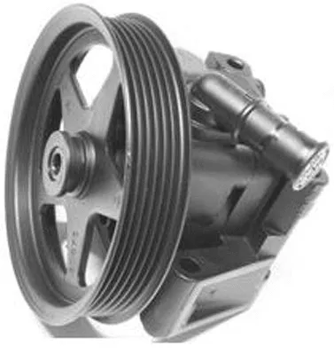 Hydraulic Pump, steering (PI1040)