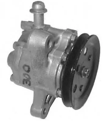 Hydraulic Pump, steering (PI0280)
