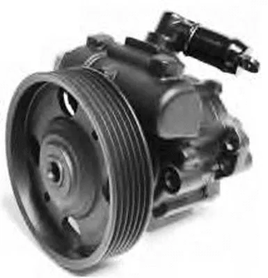 Hydraulic Pump, steering (PI1231)