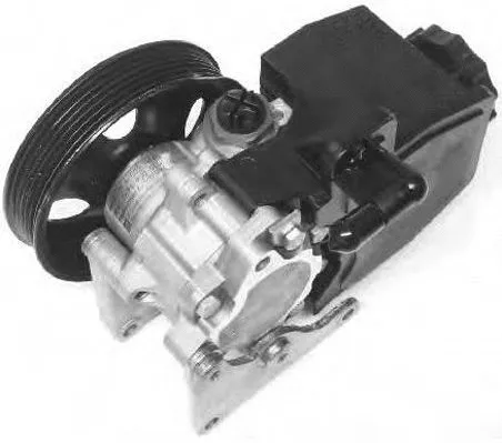 Hydraulic Pump, steering (PI0308)