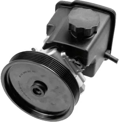 Hydraulic Pump, steering (PI1279)
