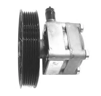Hydraulic Pump, steering (PI1107)