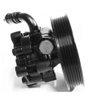 Hydraulic Pump, steering (PI1326)