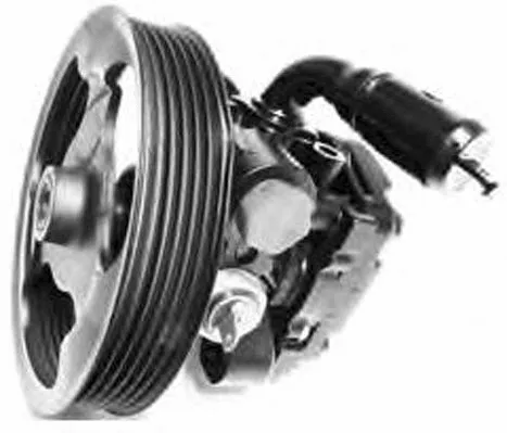 Hydraulic Pump, steering (PI1192)