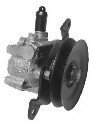 Hydraulic Pump, steering (PI0473)