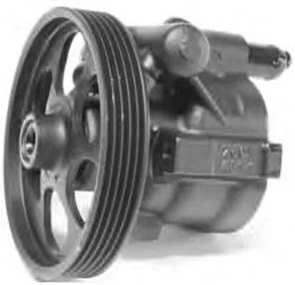 Hydraulic Pump, steering (PI1172)