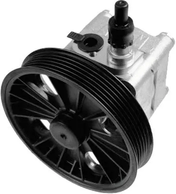 Hydraulic Pump, steering (PI1323)