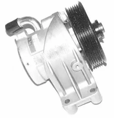 Hydraulic Pump, steering (PI0471)