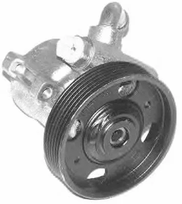 Hydraulic Pump, steering (PI0339)
