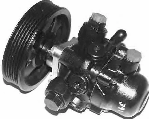 Hydraulic Pump, steering (PI0197)