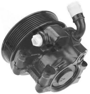Hydraulic Pump, steering (PI1243)