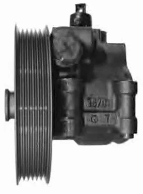Hydraulic Pump, steering (PI1167)