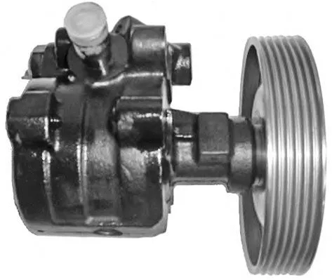 Hydraulic Pump, steering (PI1128)