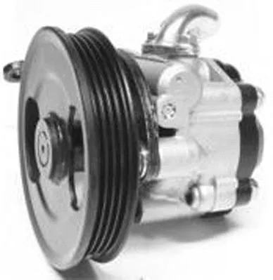 Hydraulic Pump, steering (PI1043)