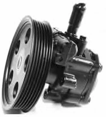 Hydraulic Pump, steering (PI1177)