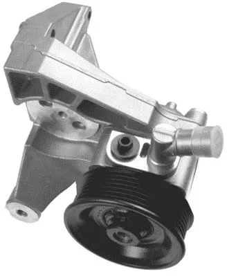 Hydraulic Pump, steering (PI0733)