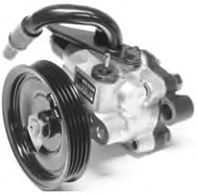 Hydraulic Pump, steering (PI1246)