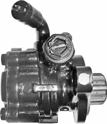 Hydraulic Pump, steering (PI1318)