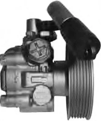 Hydraulic Pump, steering (PI1257)