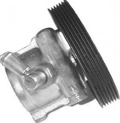 Hydraulic Pump, steering (PI0166)