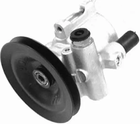 Hydraulic Pump, steering (PI0101)