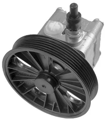 Hydraulic Pump, steering (PI1225)