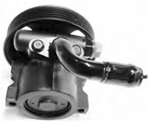 Hydraulic Pump, steering (PI1236)