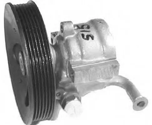 Hydraulic Pump, steering (PI0256)